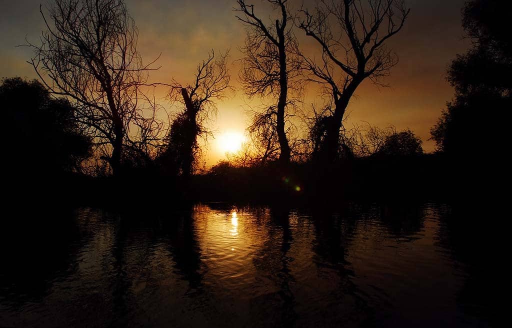 Photograph of a sunset over the Danube delta